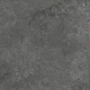 DS9066EX
