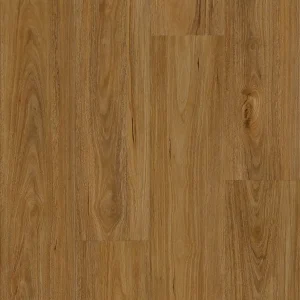 7106 Qld Spotted Gum