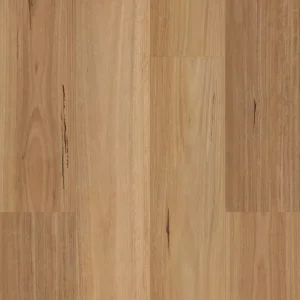 9102 Native Blackbutt