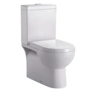Dublin Back To Wall Toilet Suite