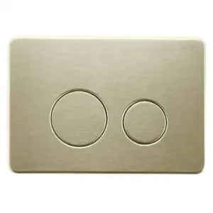 Essence R&T Lexy Brushed Gold Stainless Steel Round Inwall Cistern Buttons Only G3004118BG