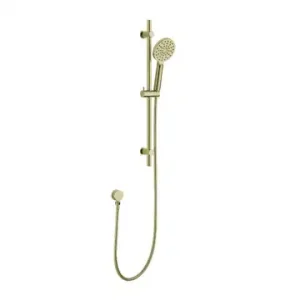 Everest Round Handshower on Retrofit Rail 3 Function – Brushed Gold