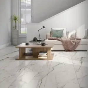 Glossy Glazed Tiles