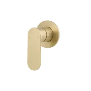 Spectra Brushed Gold Shower Mixer Trim Kit 80MM Backplate (Refer Body Code 1656529) Lead Free