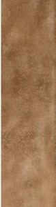 CARVE S75316